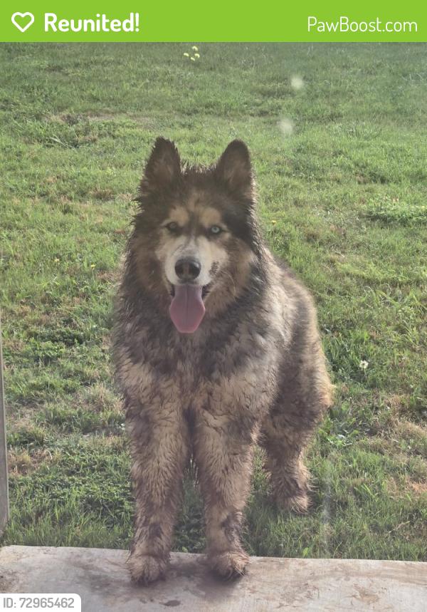 Reunited Unknown Dog last seen Tree lake, Waco, TX 76708
