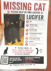 Lost Male Cat last seen Floyd Road Charlton London, Greater London, England SE7 8AN