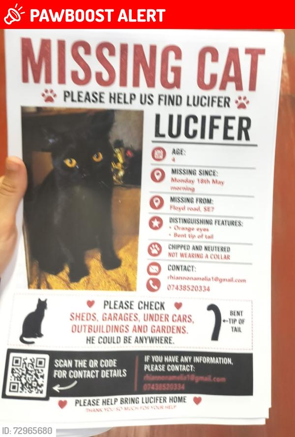 Lost Male Cat last seen Floyd Road Charlton London, Greater London, England SE7 8AN