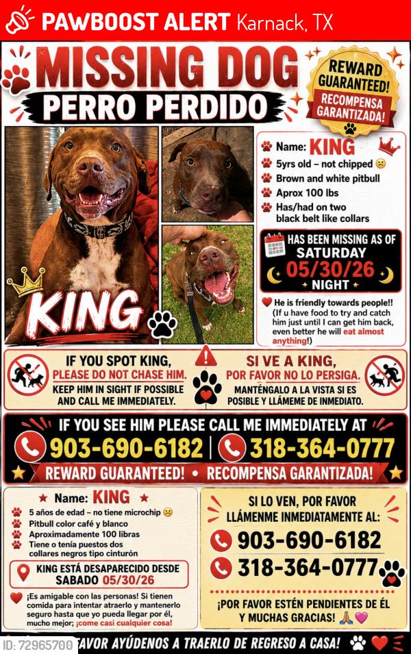 Lost Male Dog last seen Near FM-1999 Karnack, TX  75661 United States, Karnack, TX 75661