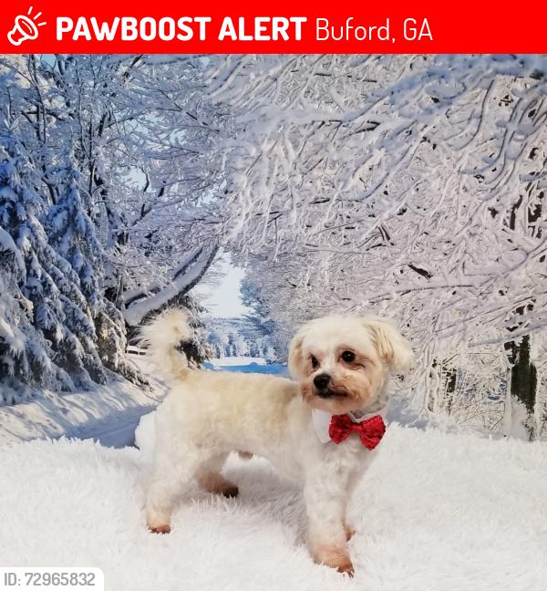 Lost Male Dog last seen Near Laurel Crossing Parkway , Buford, GA 30519