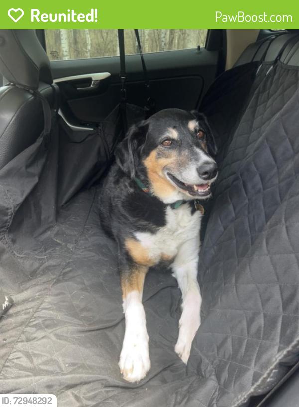 Reunited Female Dog last seen Range Rd 275 and twp Rd 490, Thorsby, AB T0C 2P0