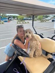 Lost Female Dog last seen Berkeley, new Hope, mimosa park area, Goldsboro, NC 27534