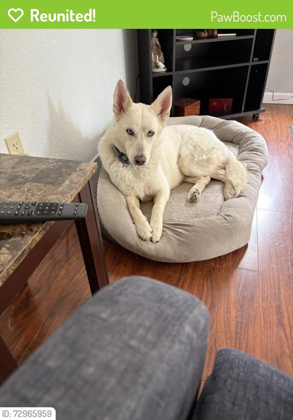 Reunited Female Dog last seen Little River, Sacramento, CA 95831