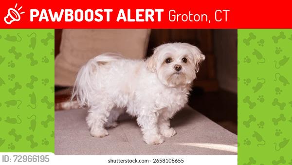 Lost Male Dog last seen Near FORT  HILL, Groton, CT 06340