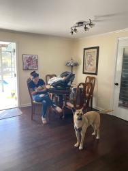 Lost Male Dog last seen Felton and inman, Port Charlotte, FL 33952