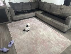 Lost Male Dog last seen Old Greenhouse Rd, Katy, TX 77449