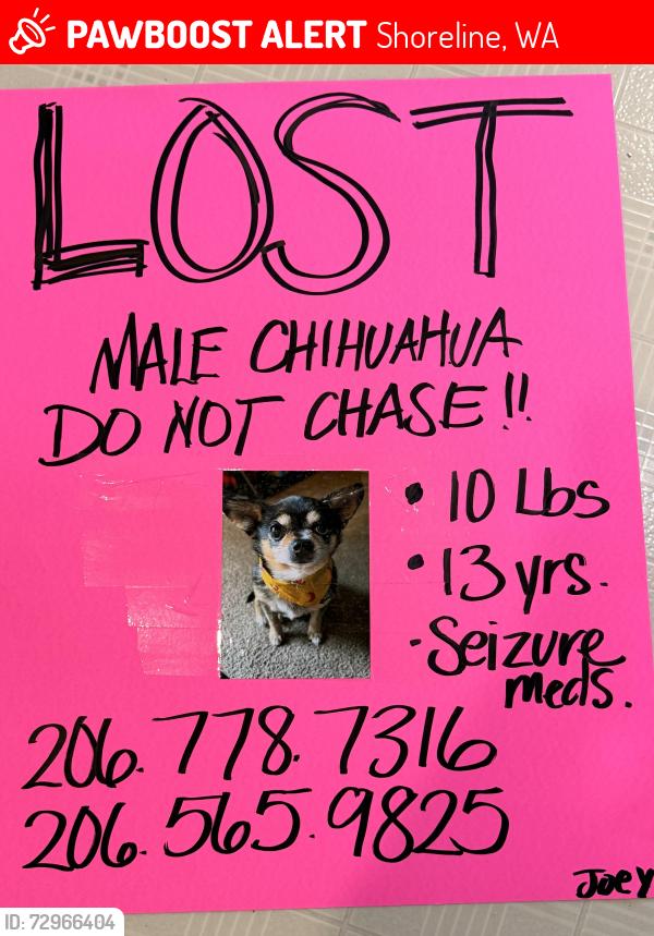 Lost Male Dog last seen 205th and greenwood, Shoreline, WA 98133