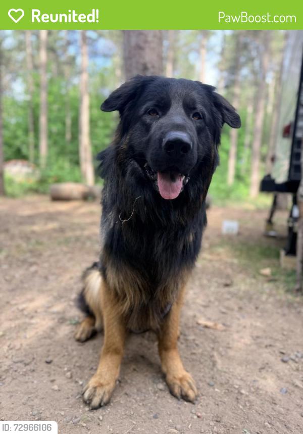 Reunited Male Dog last seen Near Mount Shavano Ave, Severance, CO 80550, USA, Severance, CO 80550