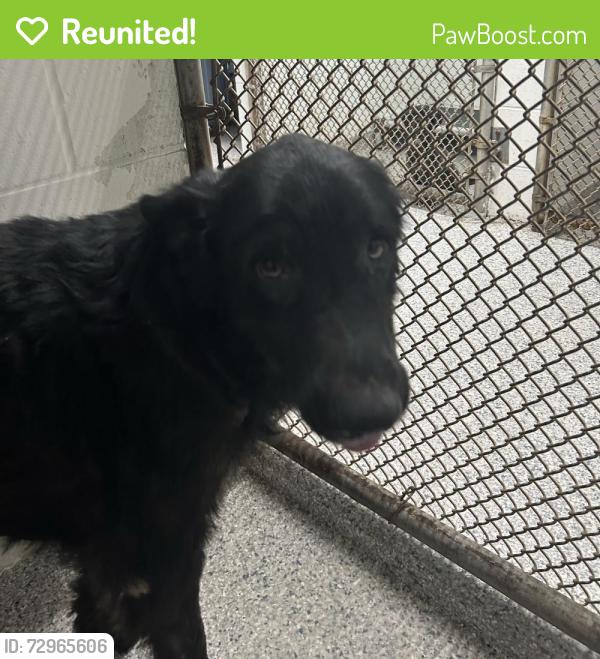 Reunited Unknown Dog last seen Port Saint Lucie, Port St. Lucie, FL 34986