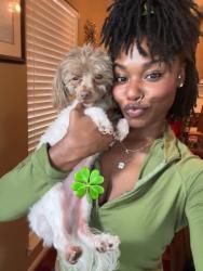 Lost Male Dog last seen King Street & 26th Avenue , Bessemer, AL 35023