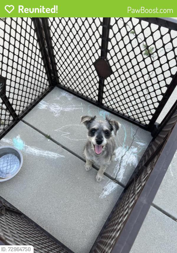 Reunited Female Dog last seen San Jacinto, CA, USA, San Jacinto, CA 92583