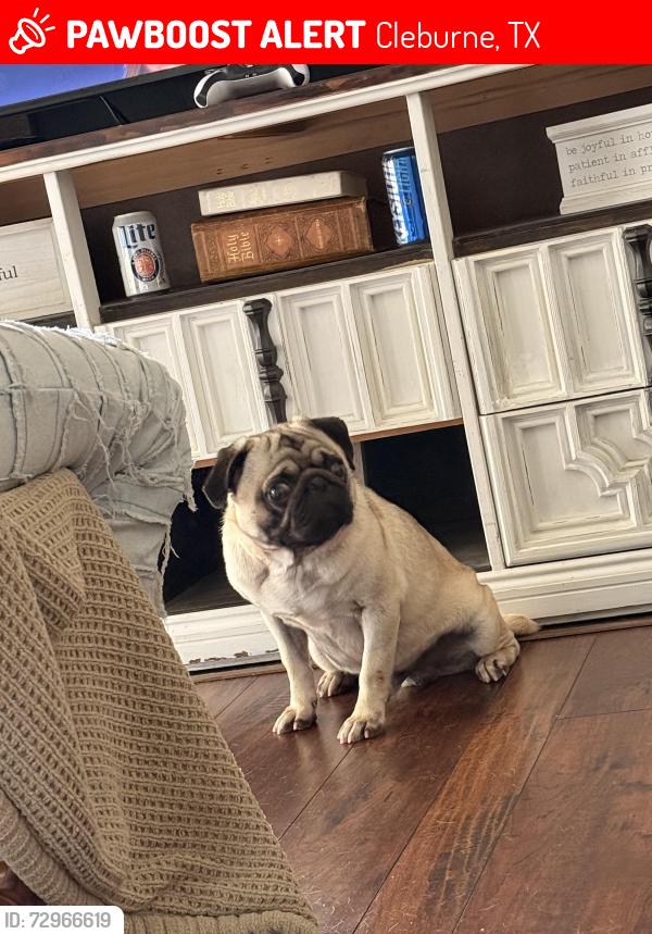 Lost Male Dog last seen Camryn Way and Skylar Ln, Cleburne, TX 76033