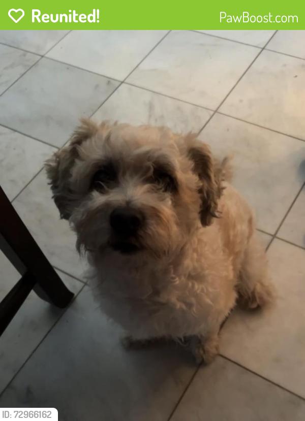 Reunited Male Dog last seen Country place dr, Houston, TX 77079
