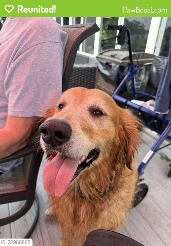 Reunited Male Dog last seen Blue stream , Jacksonville, FL 32224