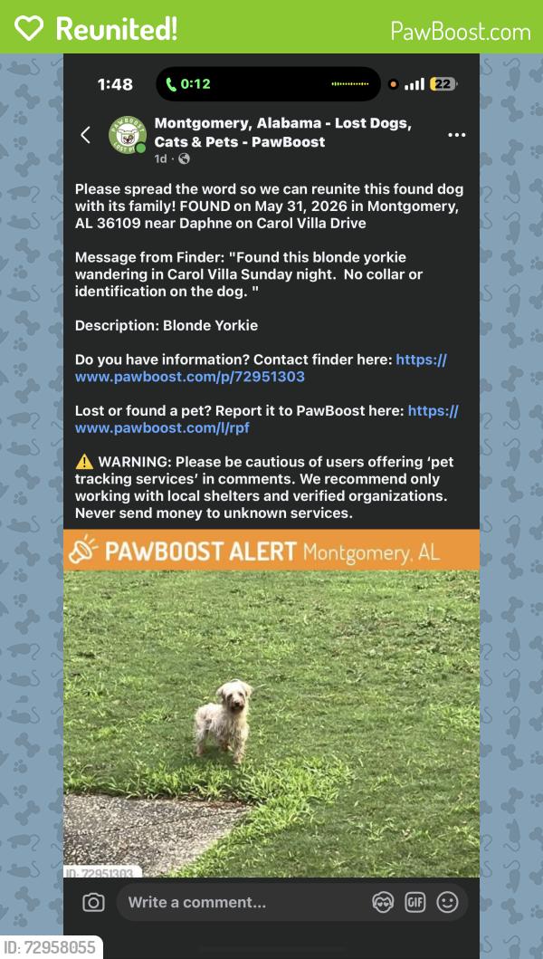 Reunited Female Dog last seen Near Carol Villa Dr, Montgomery, AL 36109