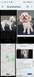 Found/Stray Male Dog last seen Near S. Azusa, W. Covina, West Covina, CA 91790