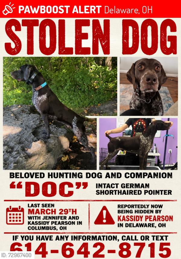 Lost Male Dog last seen Unsure. Taken from Gahanna and Brought to Delaware. Address Unknown, Delaware, OH 43015