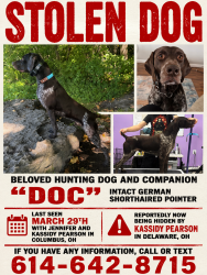 Lost Male Dog last seen Unsure. Taken from Gahanna and Brought to Delaware. Address Unknown, Delaware, OH 43015