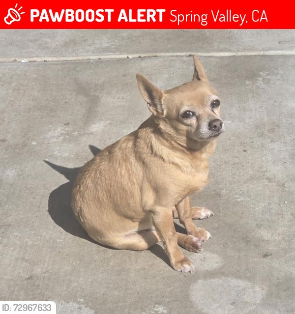 Lost Male Dog last seen Near - 1610 Capistrano Ave, Date and San Miguel, Spring Valley, Spring Valley, CA 91977