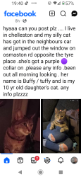 Lost Female Cat last seen allenton Ozzy rd , Derby, England 