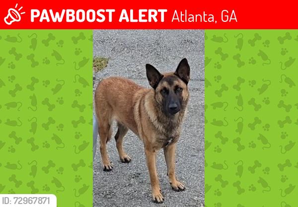 Lost Female Dog last seen DeKalb County Water Treatment Plant, Atlanta, GA 30360