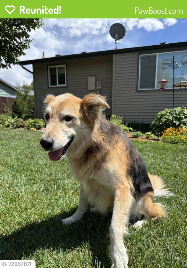 Reunited Male Dog last seen W 35th St & Douglas, Loveland, CO 80538