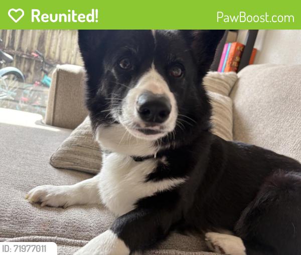 Reunited Male Dog last seen Adam’s , Topeka, KS 66609