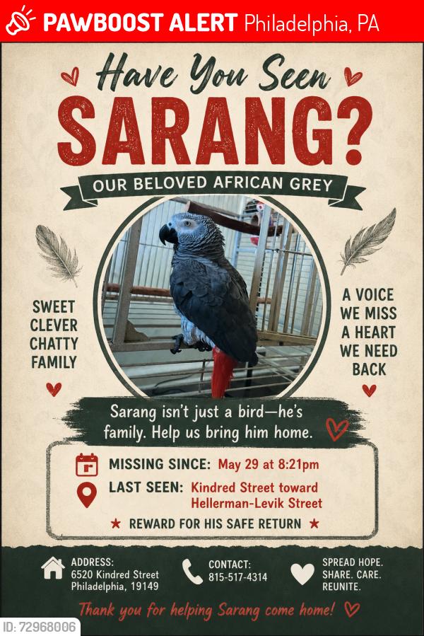 Lost Male Bird last seen Kindred street north east Philadelphia , Philadelphia, PA 19149
