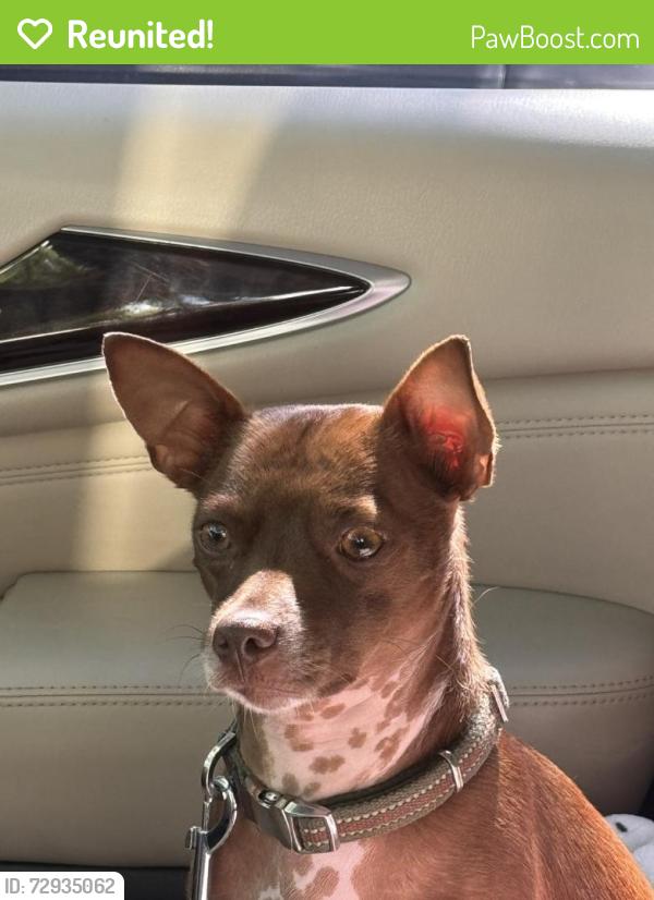 Reunited Male Dog last seen Seffner , Seffner, FL 33584