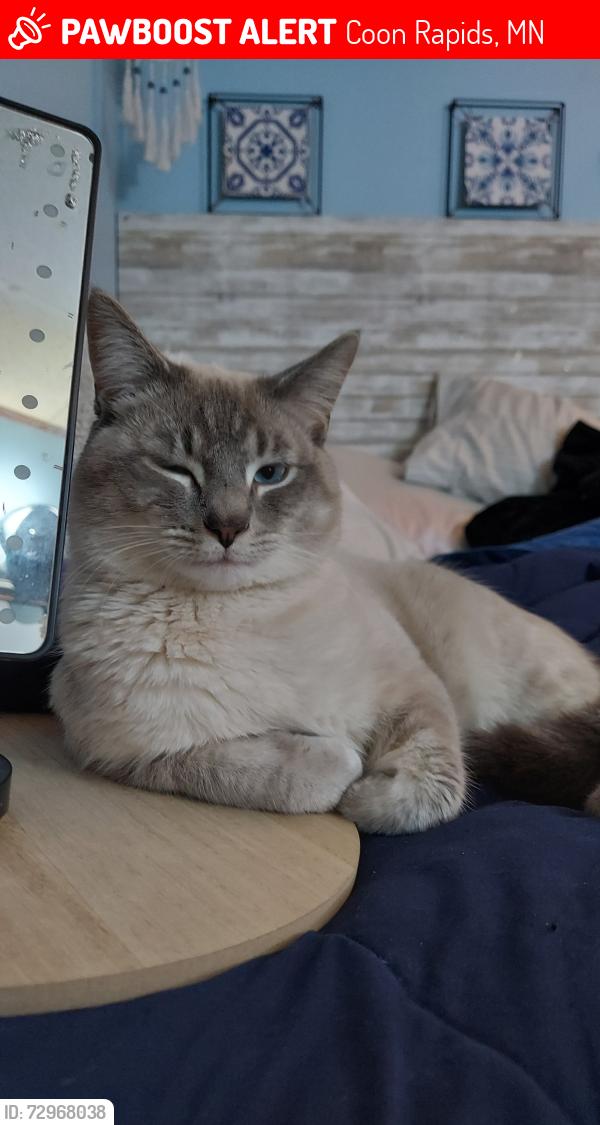 Lost Male Cat last seen Cr blvs, Coon Rapids, MN 55433