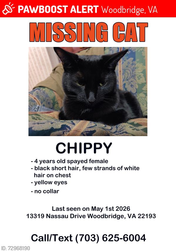 Lost Female Cat last seen Nassau Drive, Woodbridge, VA 22191