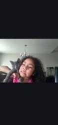 Lost Female Cat last seen  Centennial hosp in downtown Nashville , Nashville, TN 37243