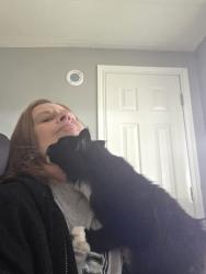 Reunited Female Cat last seen Falk, Vancouver, WA 98661
