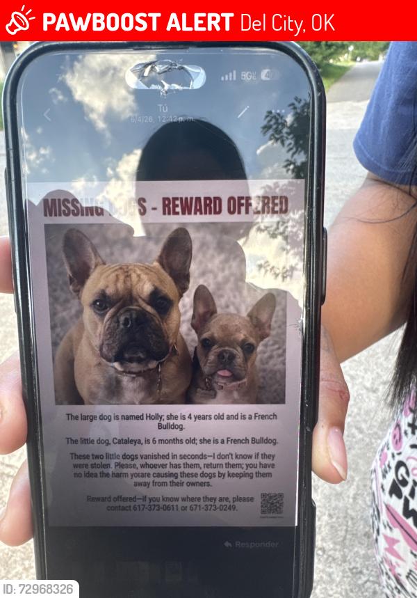 Lost Male Dog last seen Sunny lane cherry lane , Del City, OK 73115