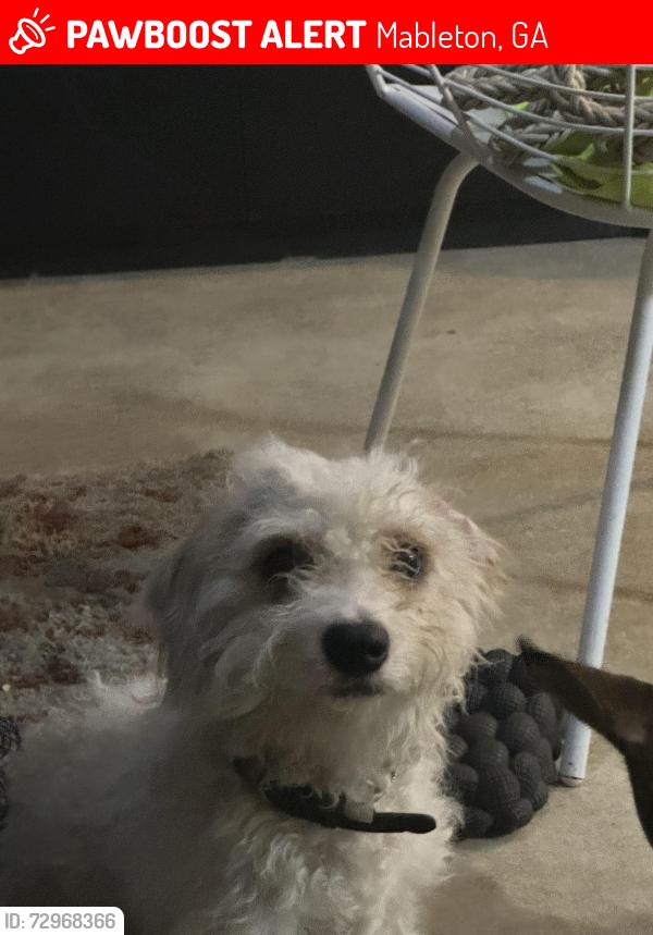 Lost Male Dog last seen Near Carlouetta rd sw, Mableton, GA 30126