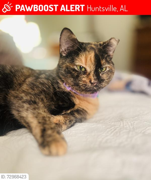 Lost Female Cat last seen Weatherly road, Huntsville, AL 35803