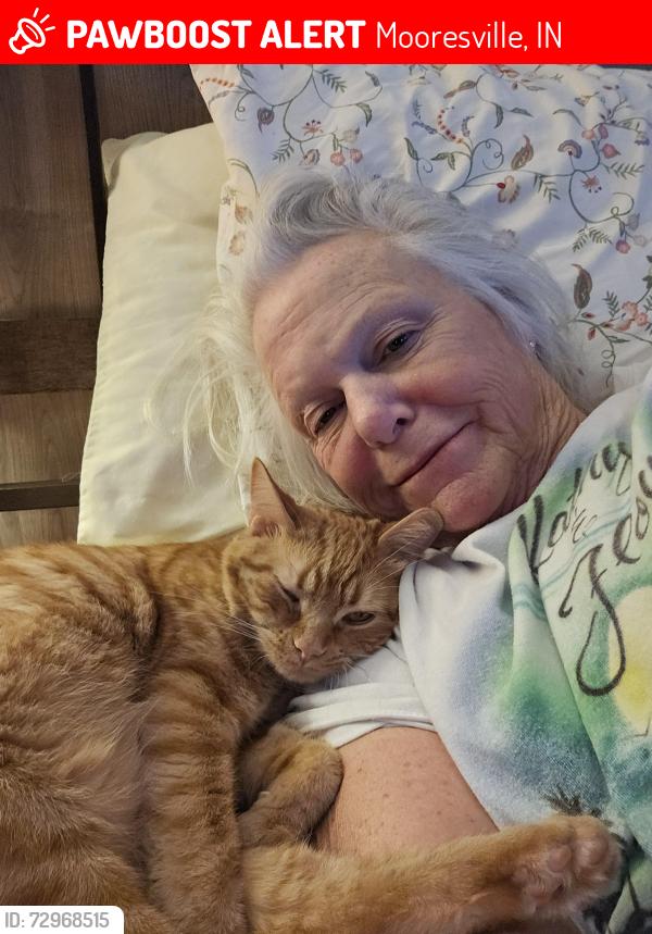Lost Male Cat last seen Memorial dr by Newby school , Mooresville, IN 46158
