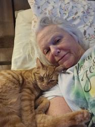 Lost Male Cat last seen Memorial dr by Newby school , Mooresville, IN 46158
