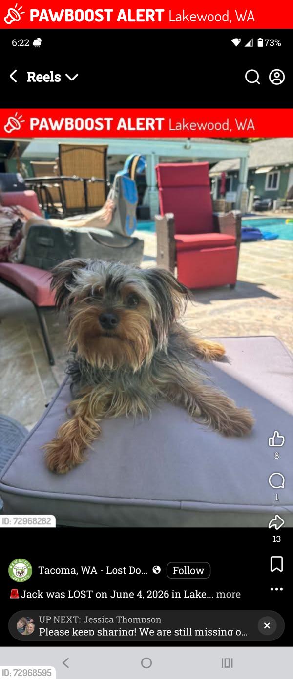 Lost Male Dog last seen 112tgvst sw, Lakewood, WA 98498