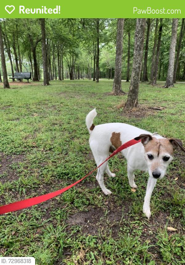Reunited Male Dog last seen Corinne Ct. & Misty Cove Dr. , Katy, TX 77449
