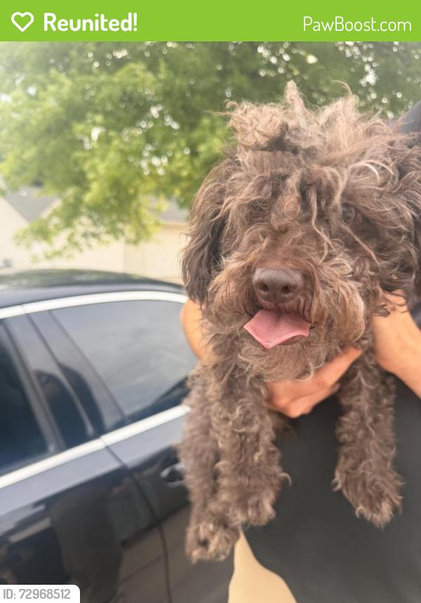 Reunited Male Dog last seen Near NW 82 Terrace, Kansas City, MO 64152, USA, Kansas City, MO 64152