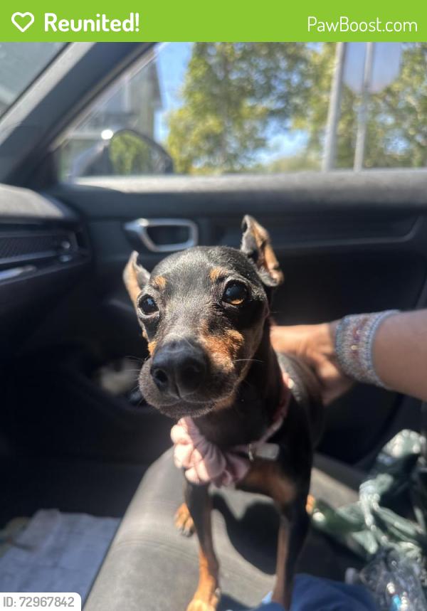 Reunited Female Dog last seen Urn-it , Pittsburg, CA 94565