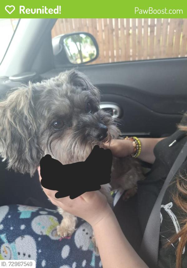 Reunited Male Dog last seen Automobile and Coolidge, Center Line, MI 48015