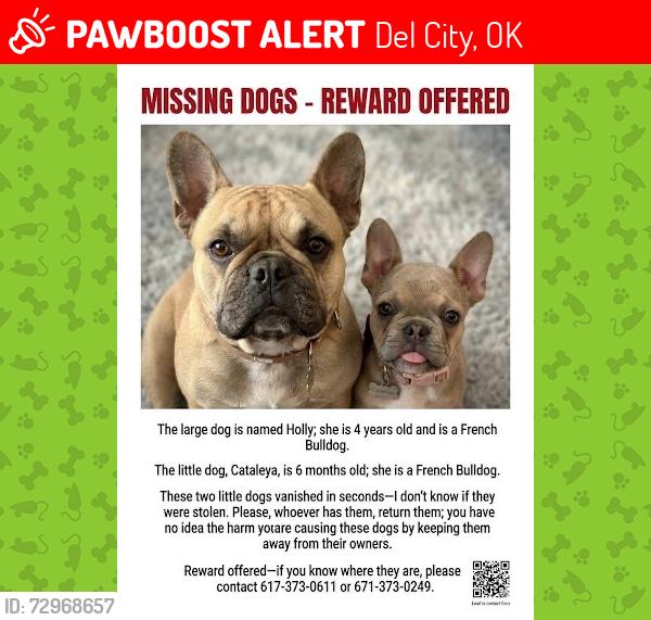Lost Male Dog last seen Near Cherry ln del city, Del City, OK 73115