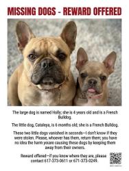 Lost Male Dog last seen Near Cherry ln del city, Del City, OK 73115