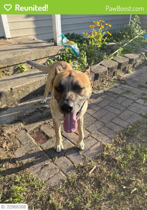 Reunited Male Dog last seen Nw 34th & Hammond , Warr Acres, OK 73122