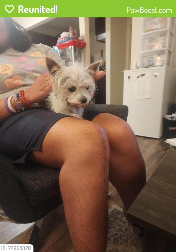 Reunited Male Dog last seen George st and Stryker  55107, Saint Paul, MN 55107