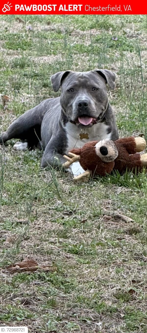 Lost Male Dog last seen Near Bradley Bridge Road, Chesterfield, VA 23838