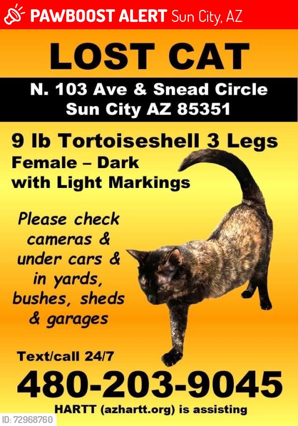 Lost Female Cat last seen It is 10206 W Snead Cir N, Sun City, AZ 85351